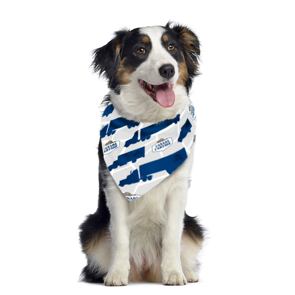 Dog Bandana