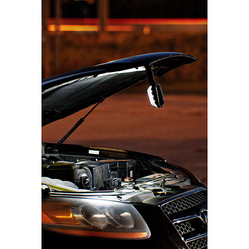 Projecteur de travail Magnum COB